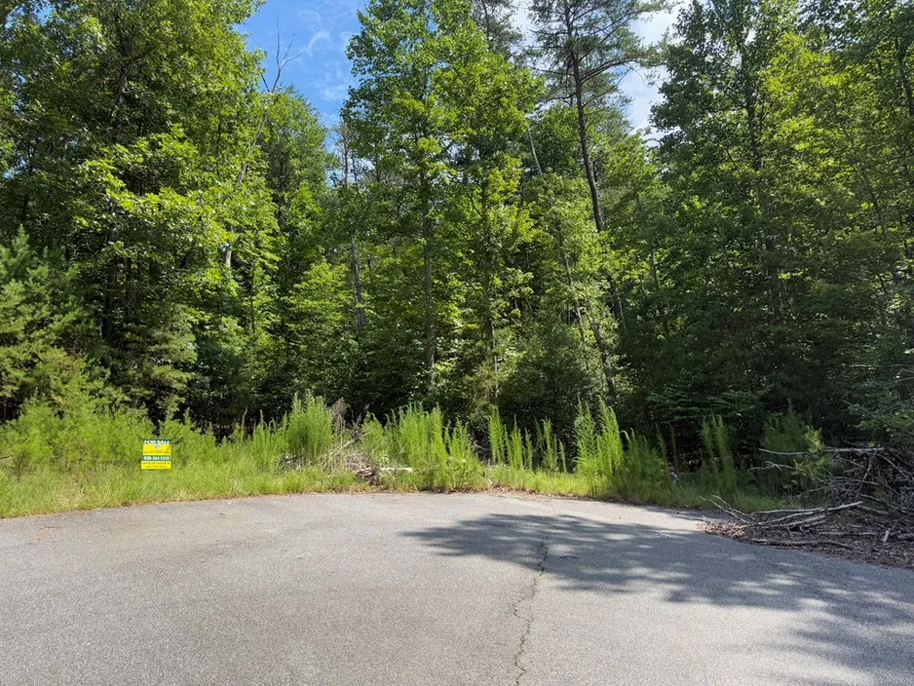 Lot 106 Asheland Cove Young Harris, GA 30582