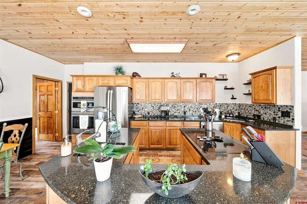 717 Greene Street Silverton, CO 81433