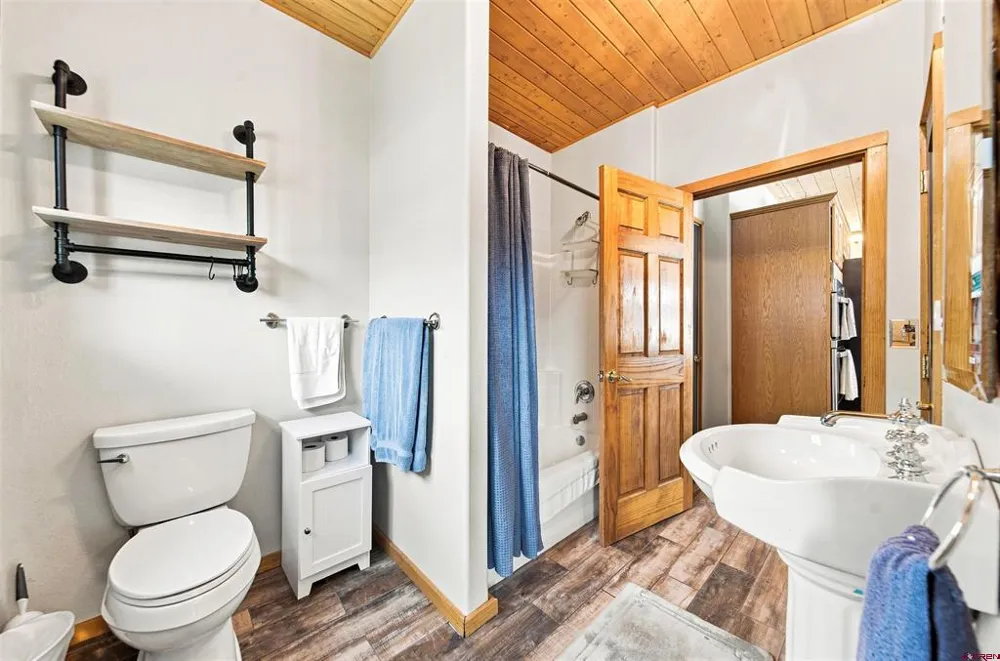 717 Greene Street Silverton, CO 81433