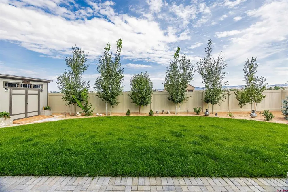 3513 Ashberry Street Montrose, CO 81401