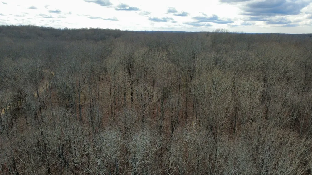 0 Daniel Rd Waverly, TN 37185
