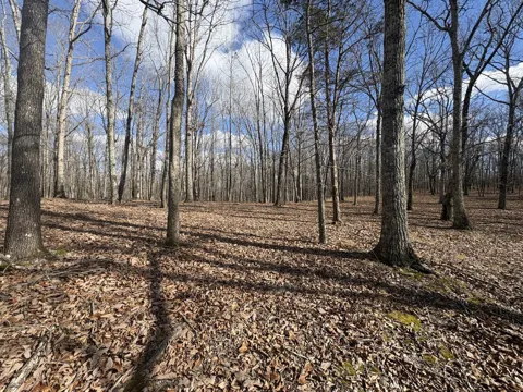 0 Daniel Rd