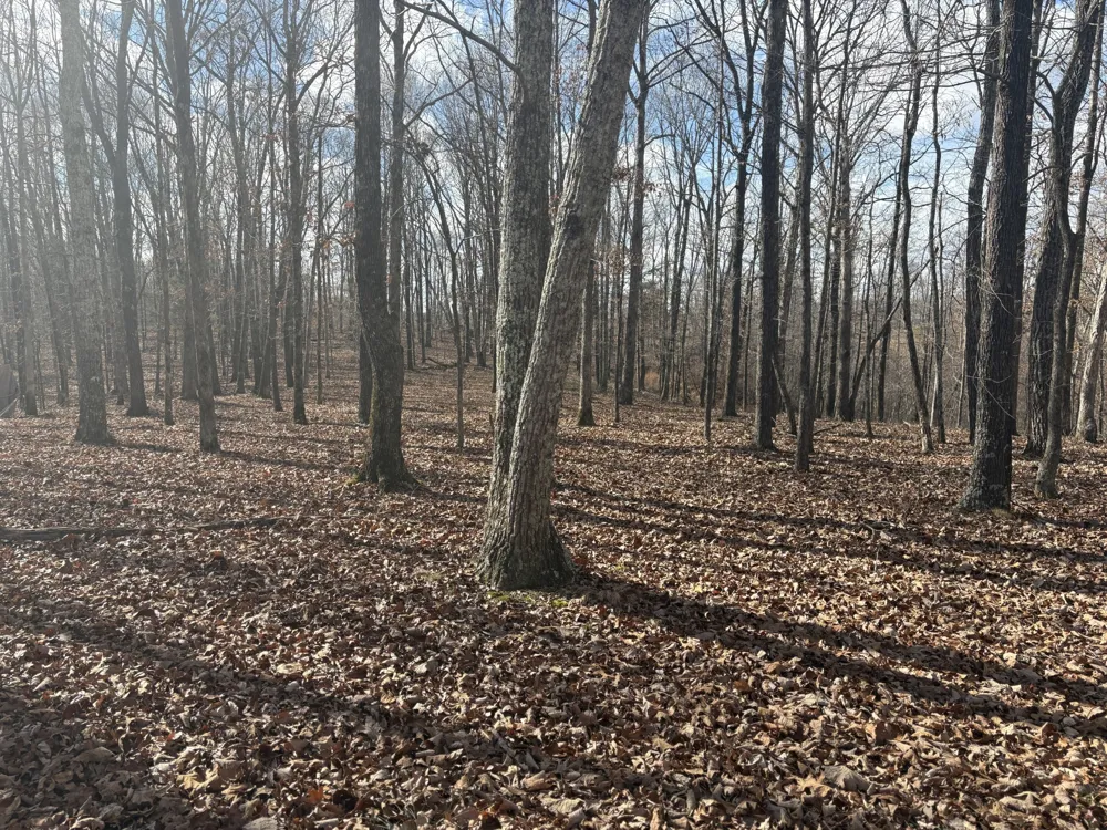 0 Daniel Rd Waverly, TN 37185