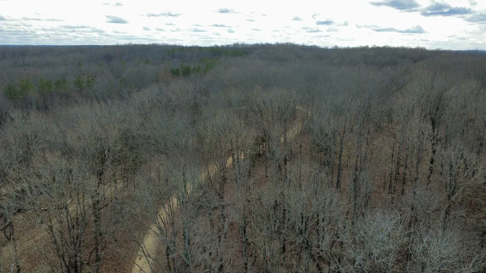 0 Daniel Rd Waverly, TN 37185