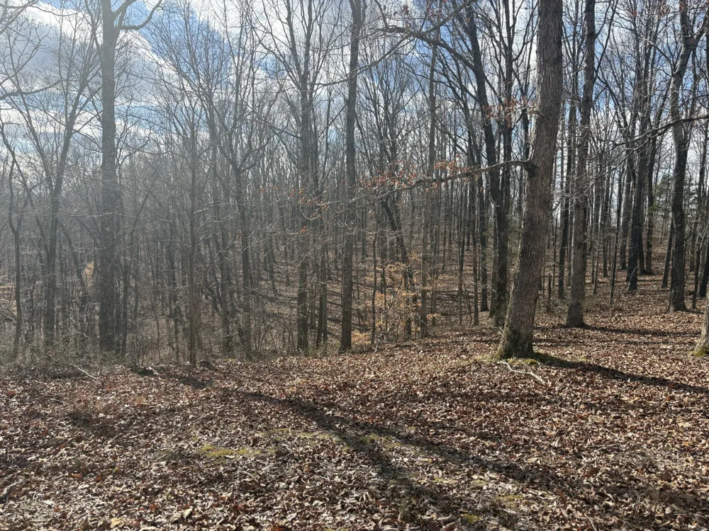 0 Daniel Rd Waverly, TN 37185