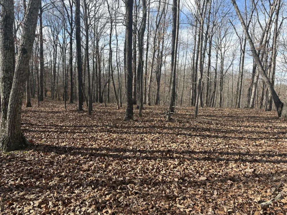 0 Daniel Rd Waverly, TN 37185