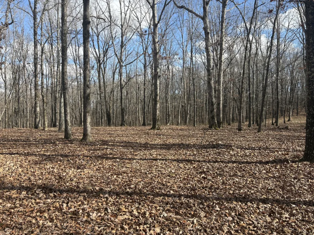 0 Daniel Rd Waverly, TN 37185
