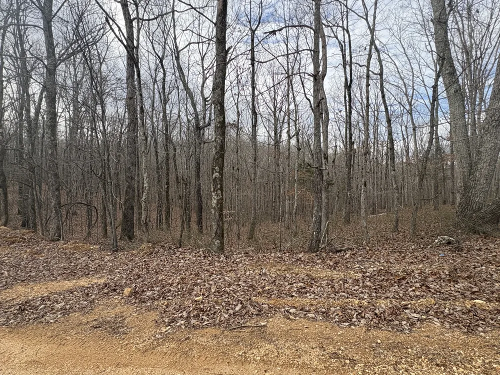 0 Daniel Rd Waverly, TN 37185