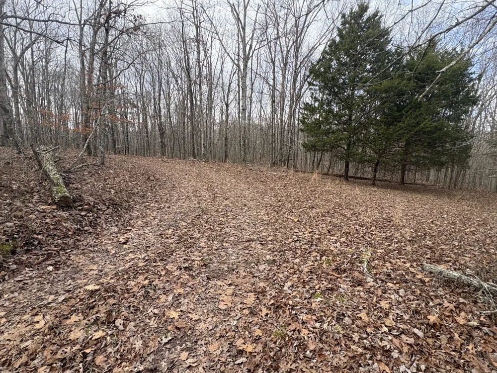 0 Daniel Rd Waverly, TN 37185