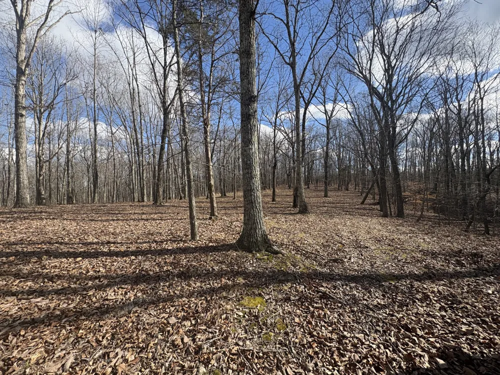 0 Daniel Rd Waverly, TN 37185