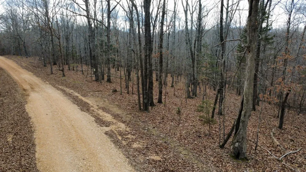 0 Daniel Rd Waverly, TN 37185