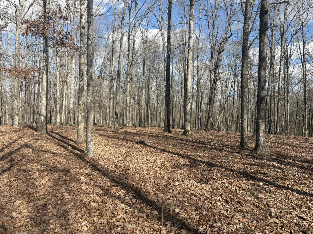 0 Daniel Rd Waverly, TN 37185