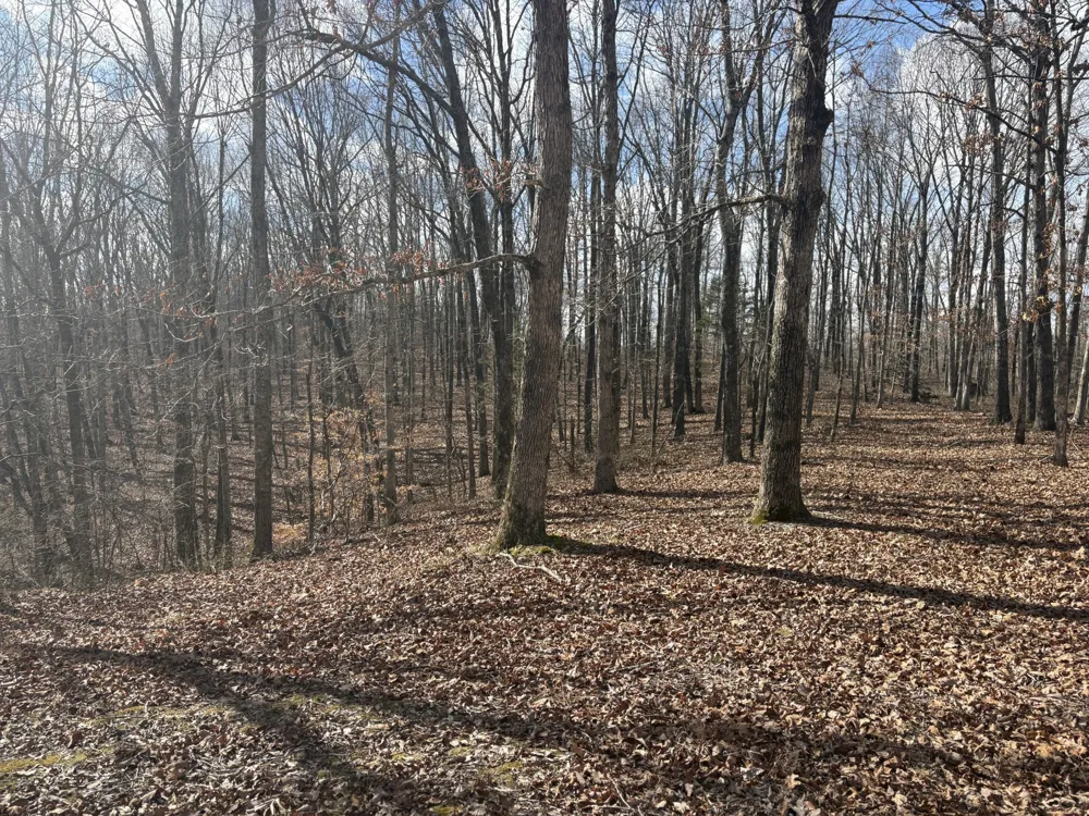 0 Daniel Rd Waverly, TN 37185