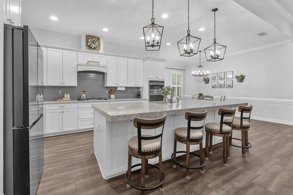 5202 ALAFIA FALLS DRIVE Lithia, FL 33547