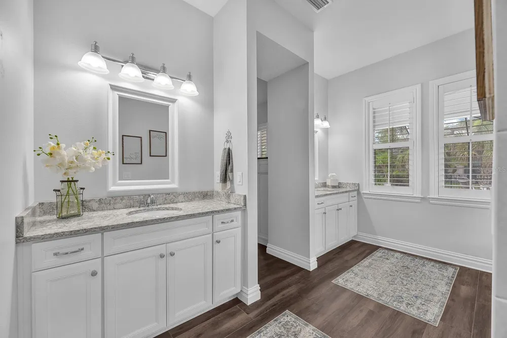 5202 ALAFIA FALLS DRIVE Lithia, FL 33547