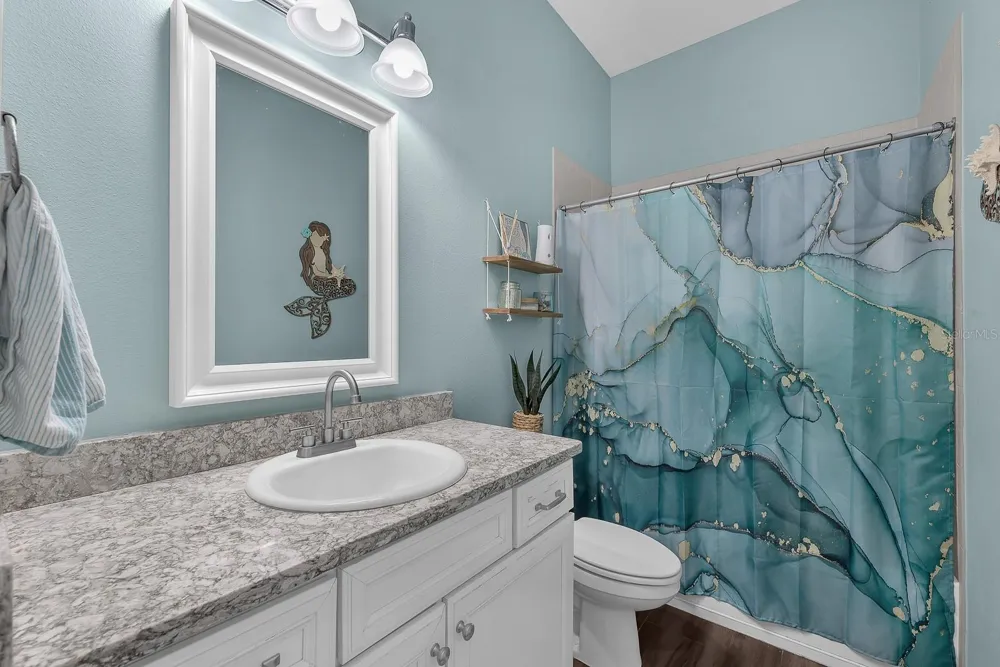 5202 ALAFIA FALLS DRIVE Lithia, FL 33547