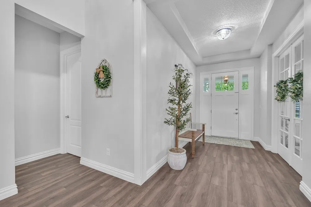5202 ALAFIA FALLS DRIVE Lithia, FL 33547