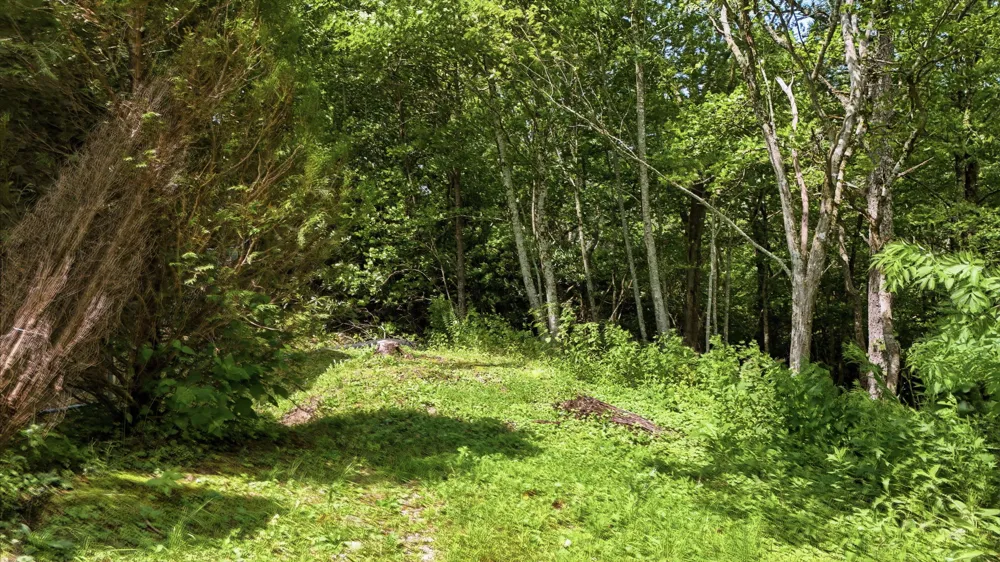 454 Upper Brushy Face Road Highlands, NC 28741