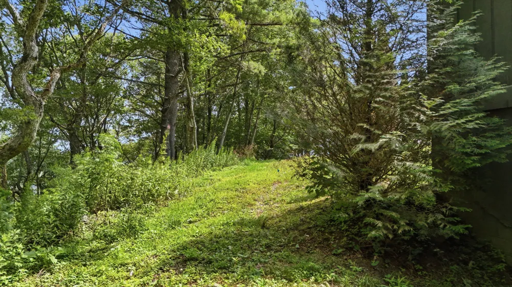 454 Upper Brushy Face Road Highlands, NC 28741
