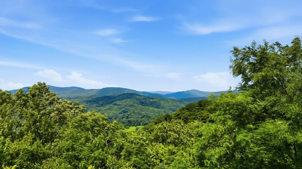 454 Upper Brushy Face Road Highlands, NC 28741