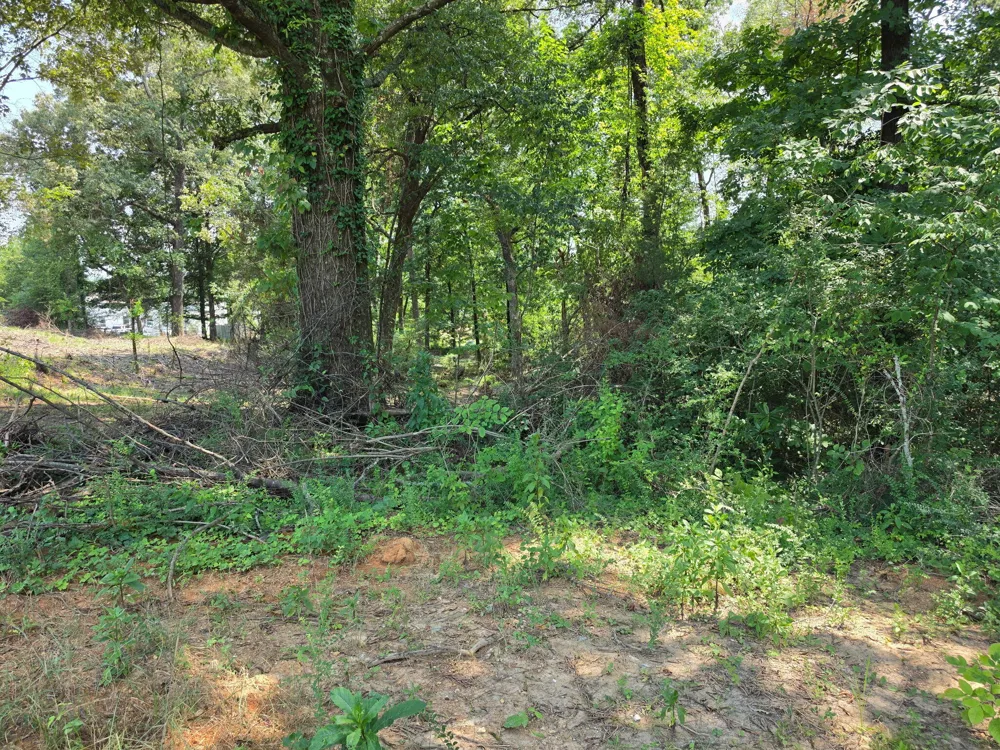 100 Thomas Road Fort Oglethorpe, GA 30742