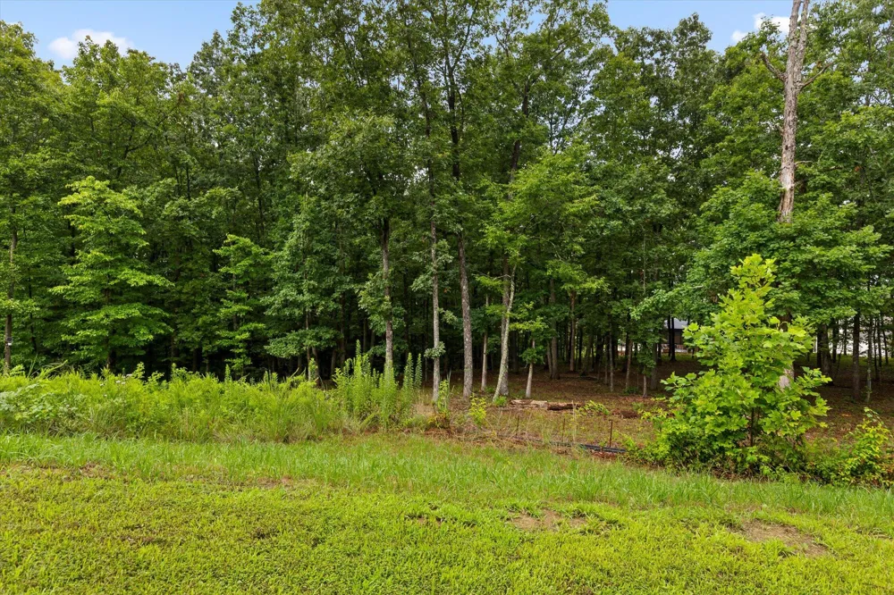 4260 Amethyst Road Chattanooga, TN 37419