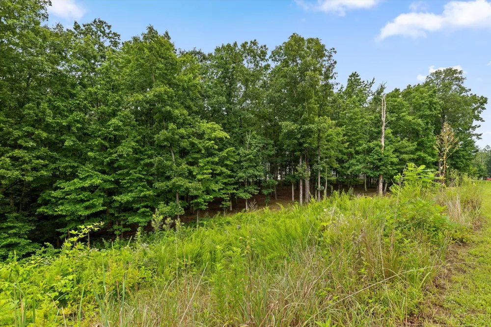 4260 Amethyst Road Chattanooga, TN 37419