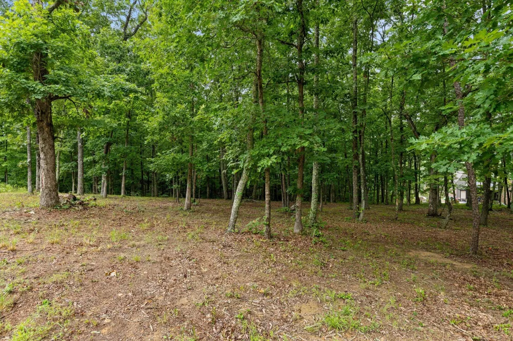 4260 Amethyst Road Chattanooga, TN 37419