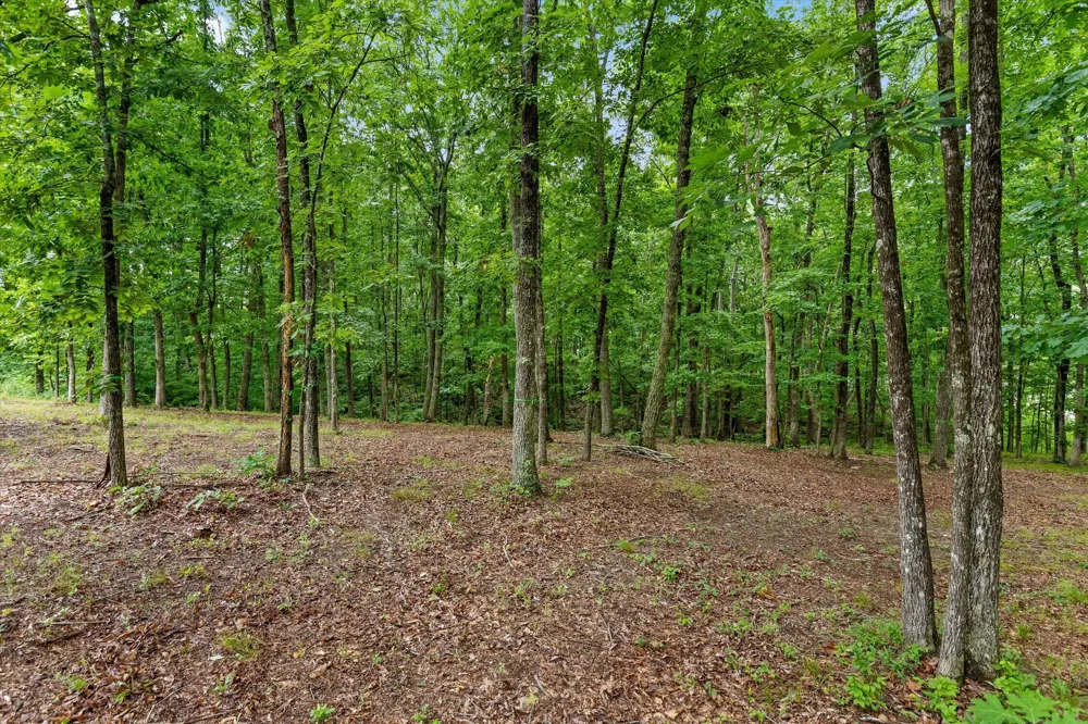 4260 Amethyst Road Chattanooga, TN 37419