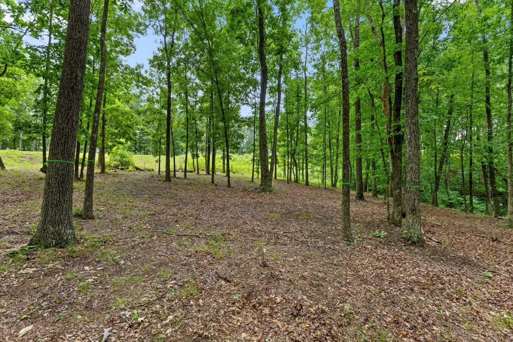 4260 Amethyst Road Chattanooga, TN 37419