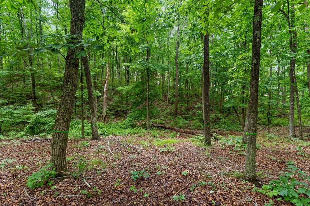 4260 Amethyst Road Chattanooga, TN 37419