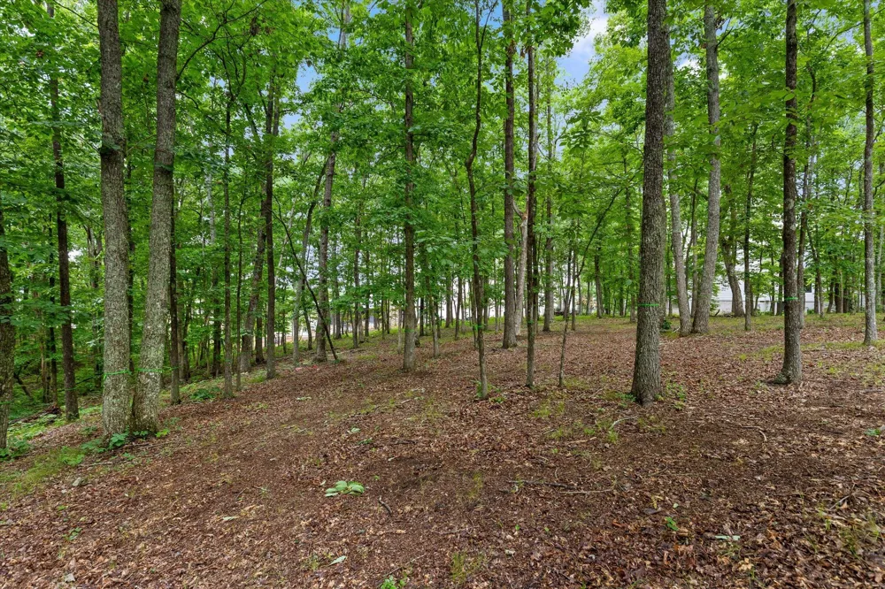 4260 Amethyst Road Chattanooga, TN 37419