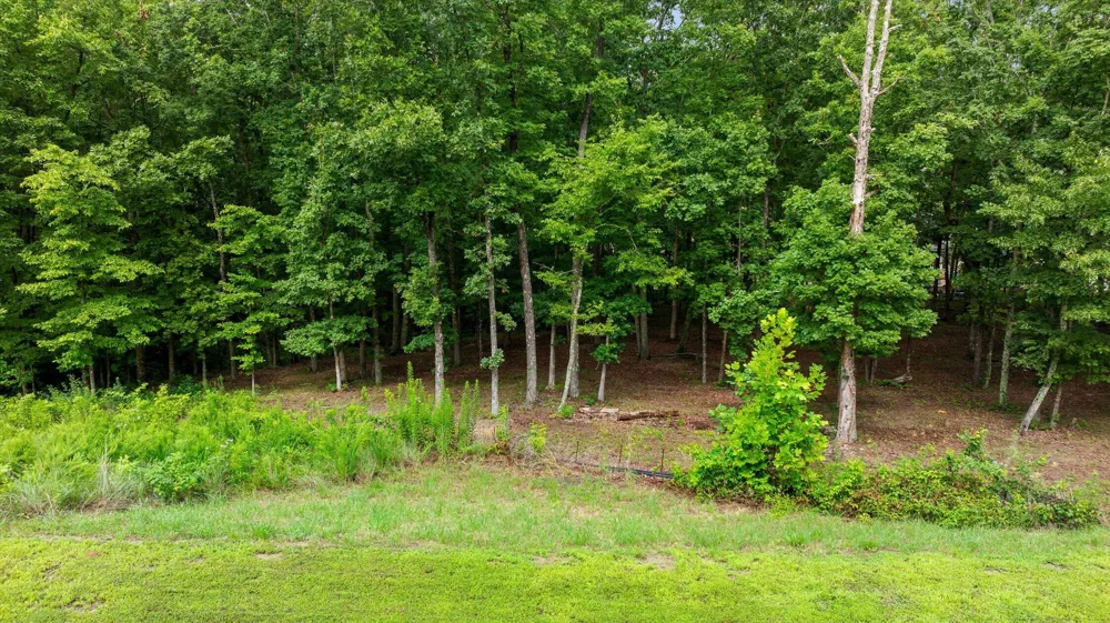 4260 Amethyst Road Chattanooga, TN 37419