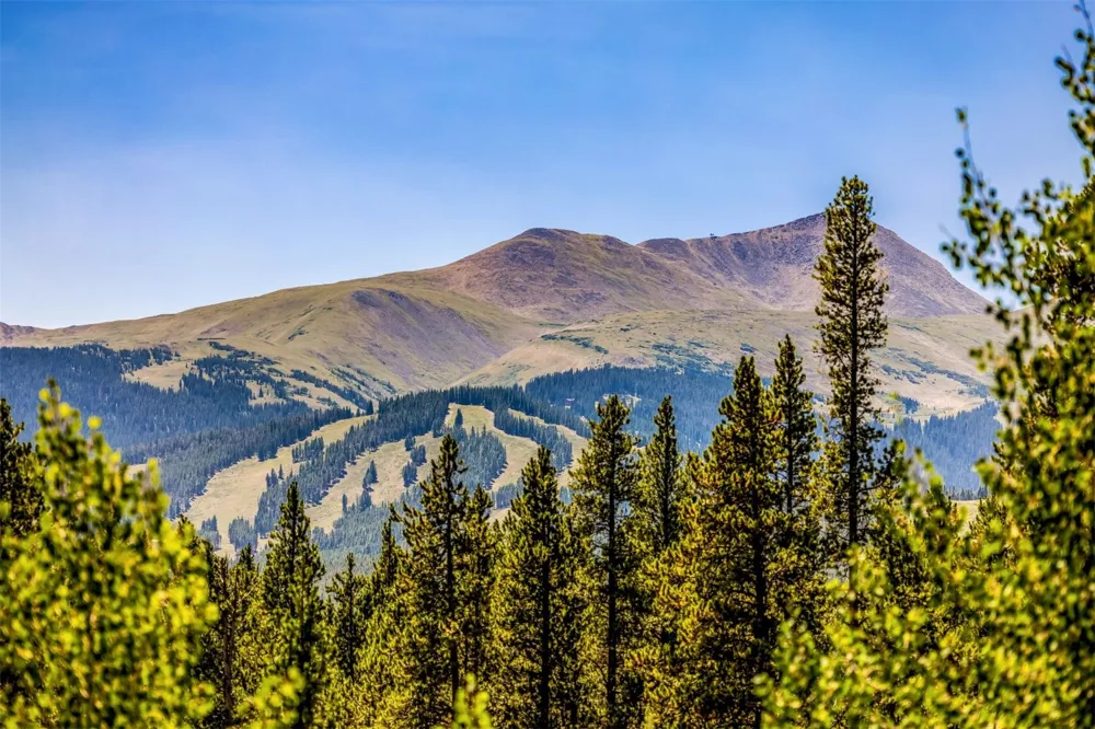 345 Peerless Drive Breckenridge, CO 80424