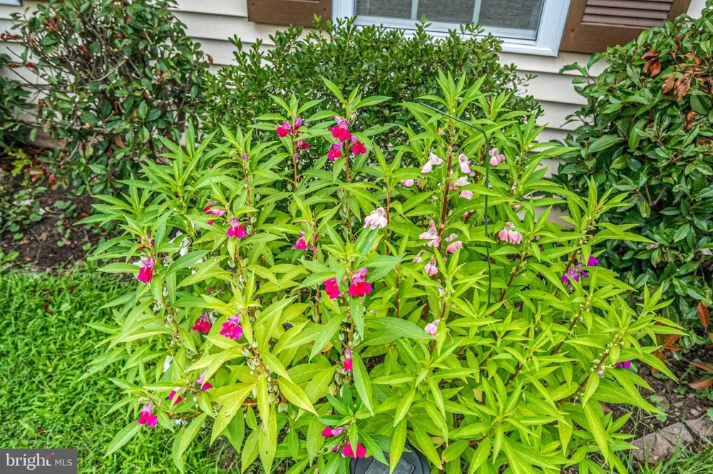 108 PLUM TREE COURT Sterling, VA 20164