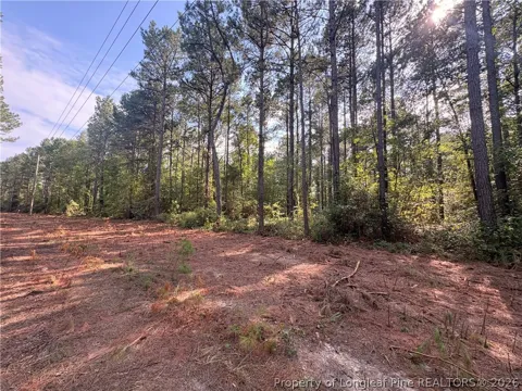 S Plank Road