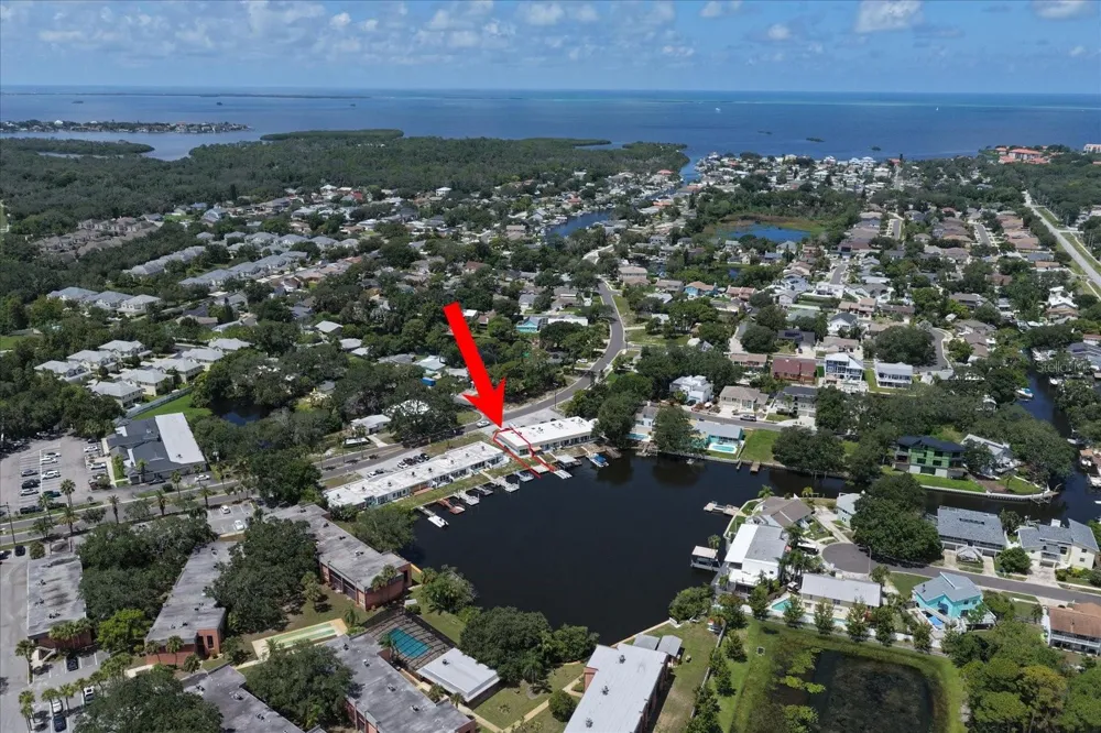 599 WESTWINDS DRIVE #9 Palm Harbor, FL 34683