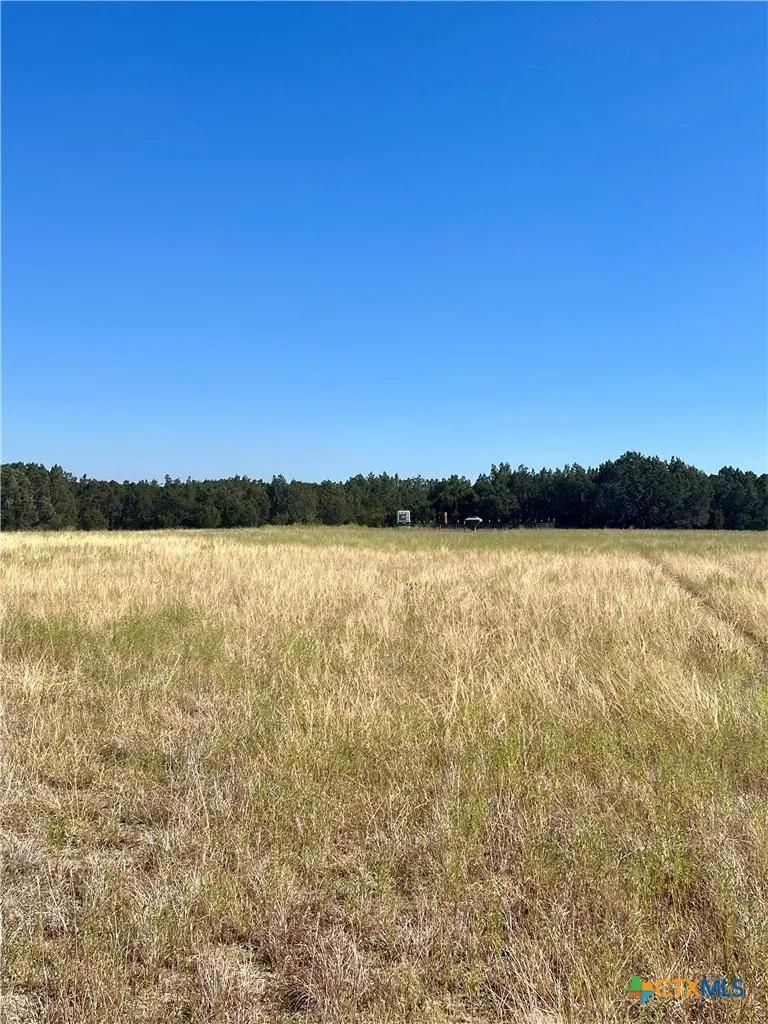 1048 County Road 426 Purmela, TX 76566