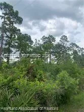 615 Wildflower Street Lake Placid, FL 33852