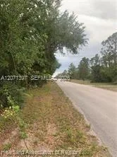 615 Wildflower Street Lake Placid, FL 33852