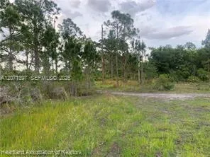 615 Wildflower Street Lake Placid, FL 33852