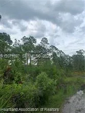 615 Wildflower Street Lake Placid, FL 33852