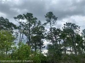 615 Wildflower Street Lake Placid, FL 33852