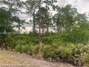 615 Wildflower Street Lake Placid, FL 33852