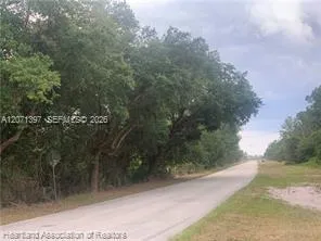 615 Wildflower Street Lake Placid, FL 33852