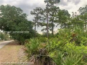 615 Wildflower Street Lake Placid, FL 33852