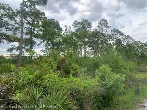 615 Wildflower Street Lake Placid, FL 33852