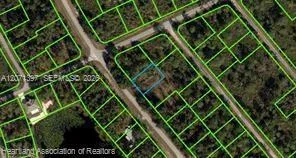 615 Wildflower Street Lake Placid, FL 33852