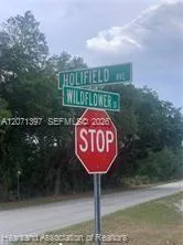 615 Wildflower Street Lake Placid, FL 33852