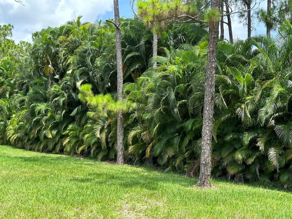 16193 72nd Road Loxahatchee, FL 33470